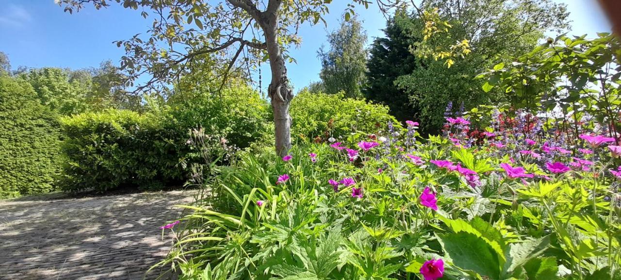 B&B Sonnehuys Nieuwland  Экстерьер фото